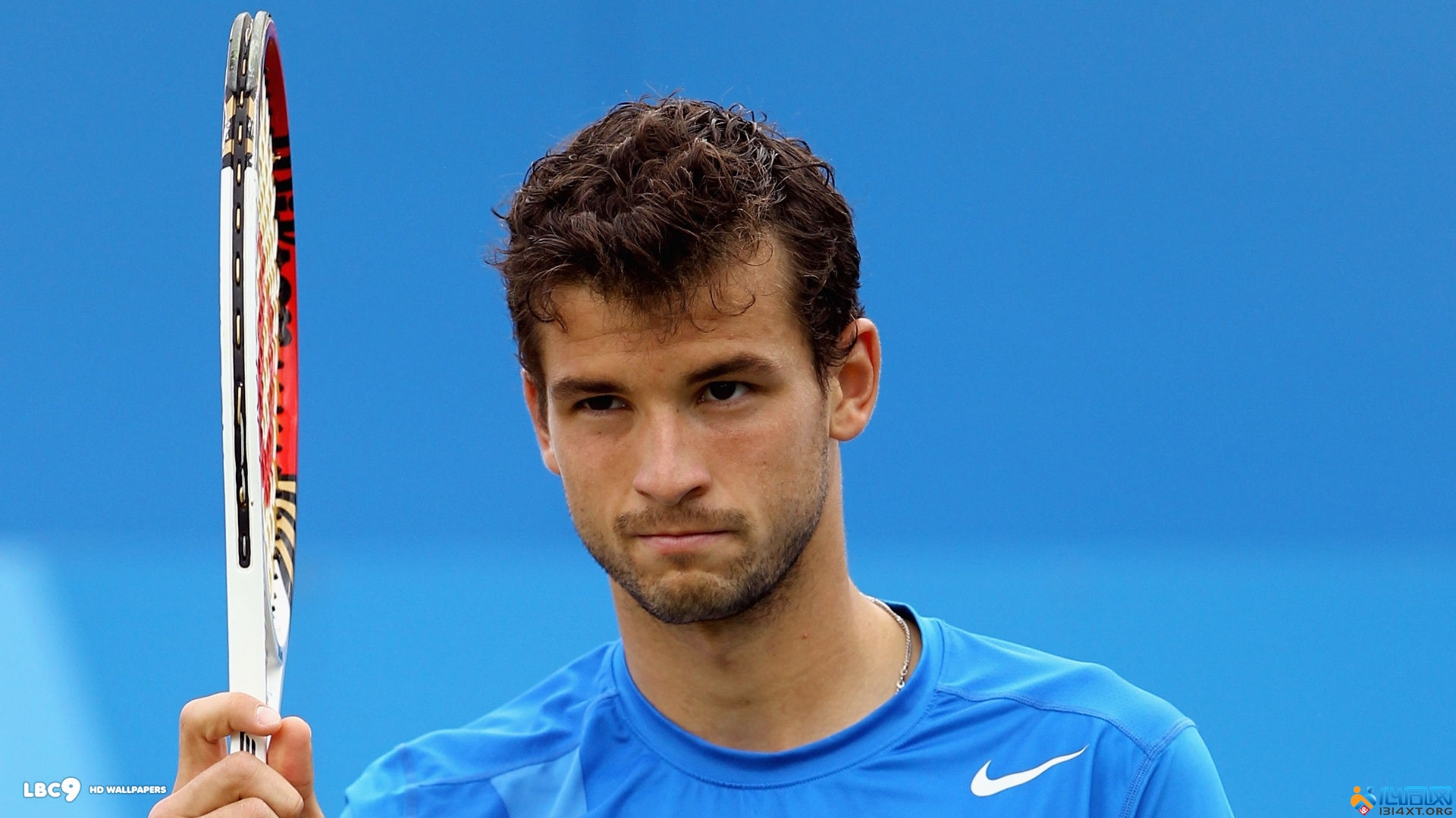 团队协作和 团队协作和